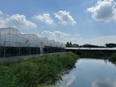 -马陆小张葡萄园农家乐