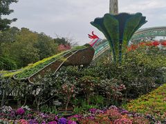 -南山植物园
