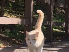 -四门塔风景区