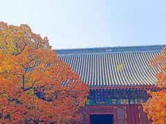 -香山公园