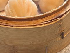 -潮府馆·非遗潮州菜·世纪公园(新国际博览中心店)