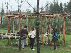 -田园东方蜜桃村的田野营地