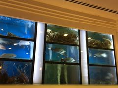 -新加坡海鲜共和(名胜世界圣淘沙海滨坊)
