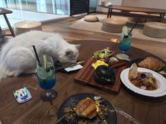 -瞄一喵猫咖(格力海岸店)