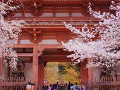 -醍醐寺
