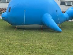-济州森林小火车生态公园