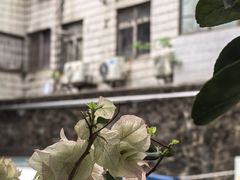 -小梁哥云吞面(黄贝岭店)