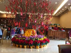 -顺风山庄(水濂山店)