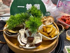 -一善菌·云南菌汤·云南菜(银泰城店)