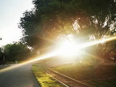 -永定河休闲森林公园