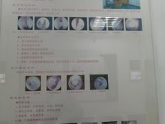 -上海中医药大学附属曙光医院(东部)