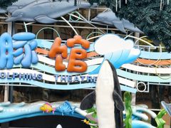 -海合安成都极地海洋公园