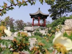 -大兴滨河森林公园