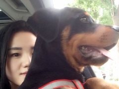 -佳怡动物医院·平价24小时·猫专科骨外科