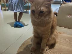 -藏猫猫咖啡主题馆(中央大道店)