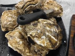 至尊桑拿蚝-天宝食坊·啫啫煲大排档(西华路店)