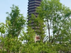 -西海子公园