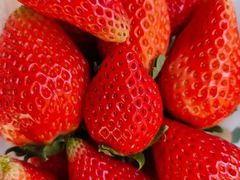 -花果山生鲜超市(浑河湾店)