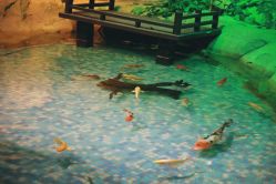 -酷嗒动物文化乐园(cutezoo西溪乐天城店)