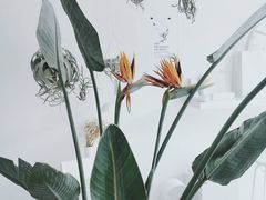 -北京国子监胡同