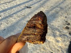 -都士牧人现烤牛肉干