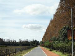 -上海长兴岛郊野公园