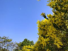 -白石龙音乐公园