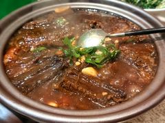 -丁老爷子苏香圆