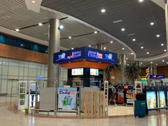 -开罗国际机场