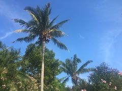 -亚龙湾喜来登·美景台大堂吧