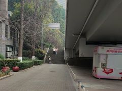 -三峡古玩城(泰古广场店)