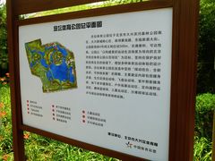 -大兴滨河森林公园