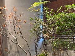 -森SPA·泰式按摩·精油Massage(宝安中心店)