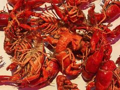 油爆虾-老长沙龙虾馆(罗湖店)