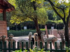 -无锡动物园·太湖欢乐园