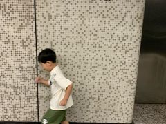 -油麻地果栏