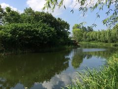 -新江湾城公园