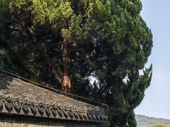 -无锡梅园公园