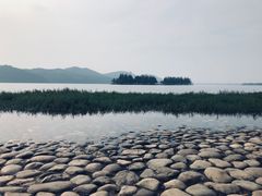 -东湖落雁景区