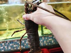 -巽寮印象美食部落餐厅·海鲜·地方特色菜(惠州体验店)