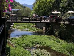 -Local泰莲庭(虹鳟鱼店)