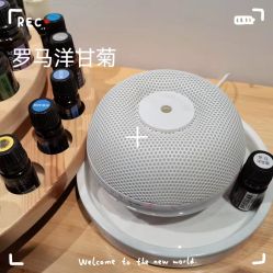 点击看大图 -Y+普拉提·轻抗阻·女子塑形
