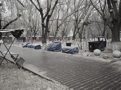 -长白岛森林公园