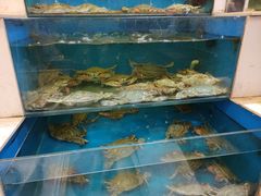 -小铜锣湾海鲜家常菜馆(河西店)