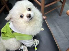 -粤陈记·煲仔粥(天河棠东店)