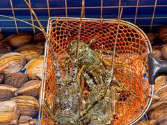 -青蓬蒸汽海鲜·深圳老字号·团建聚会(壹方城店)