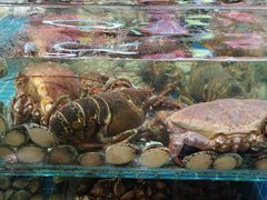 -和源祥·日照菜扛把子(万平口一店)