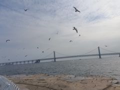 -星海广场