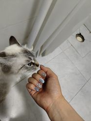 -SWEET NAIL甜果美甲美睫