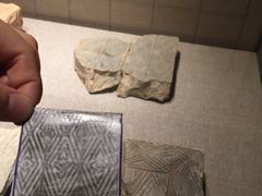 -南越王博物院(王宫展区)